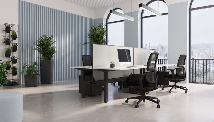 Desks and privacy screens in a furnished office setting